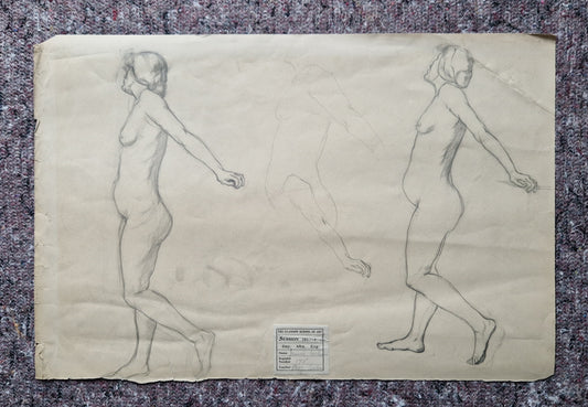 Collection of 9x Jessie Wilson Life Drawings Glasgow School of Art